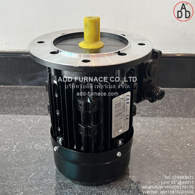 TYPE YE3-80M2-2 B5 (12)